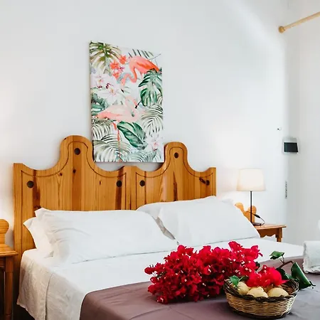 Hotel Rojas Vulcano (Isola)